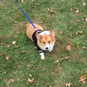 Meet your Posher, Andi